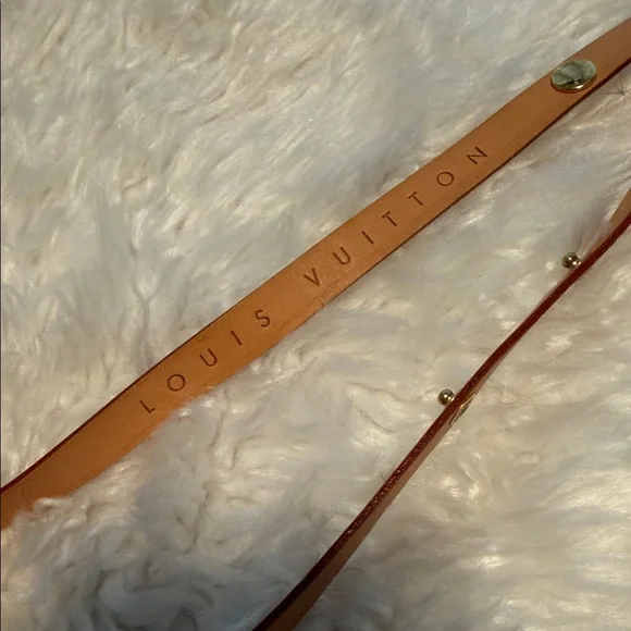 Louis Vuitton RARE Pochette Florentine Monogram Shoulder Bag - Picture 2 of 11